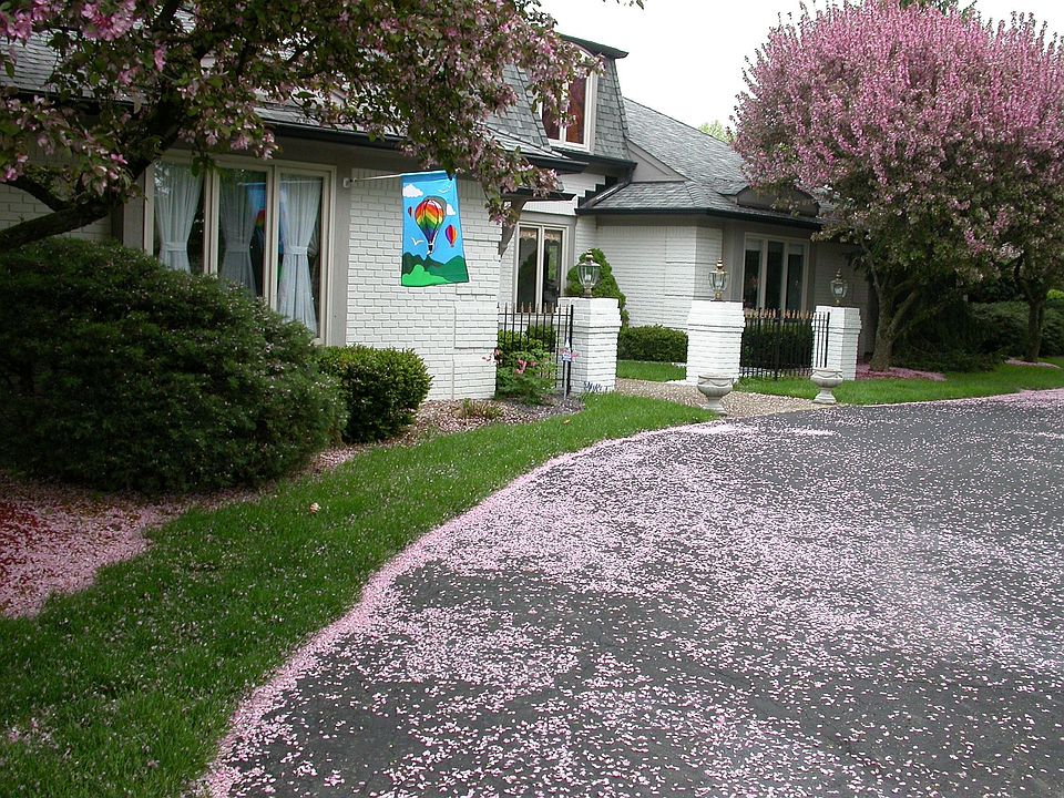 1st image of 7838 Normandy Blvd