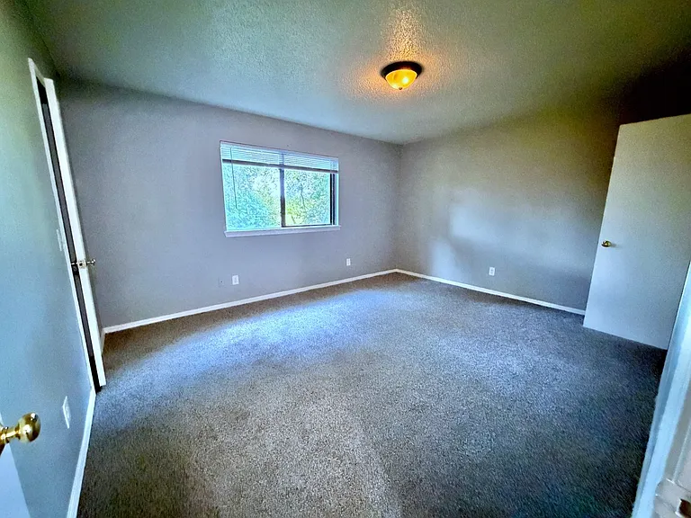 Kentucky Pine Apartments — Photo 17