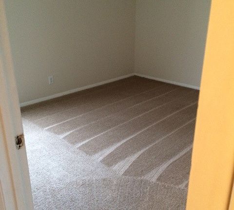 4th image of 3502 Scarlet Oak Ct