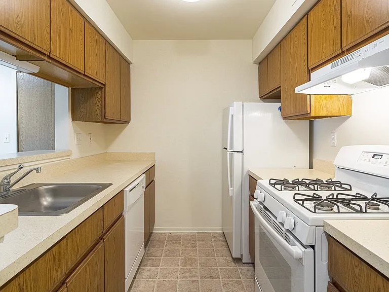 The Springs Apartment Homes — Photo 60