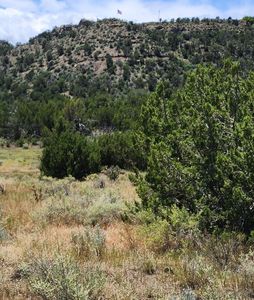 W North Ave, Trinidad, CO, 81082