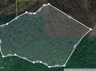 0 Neddy Mountain Rd, Del Rio, TN 37727