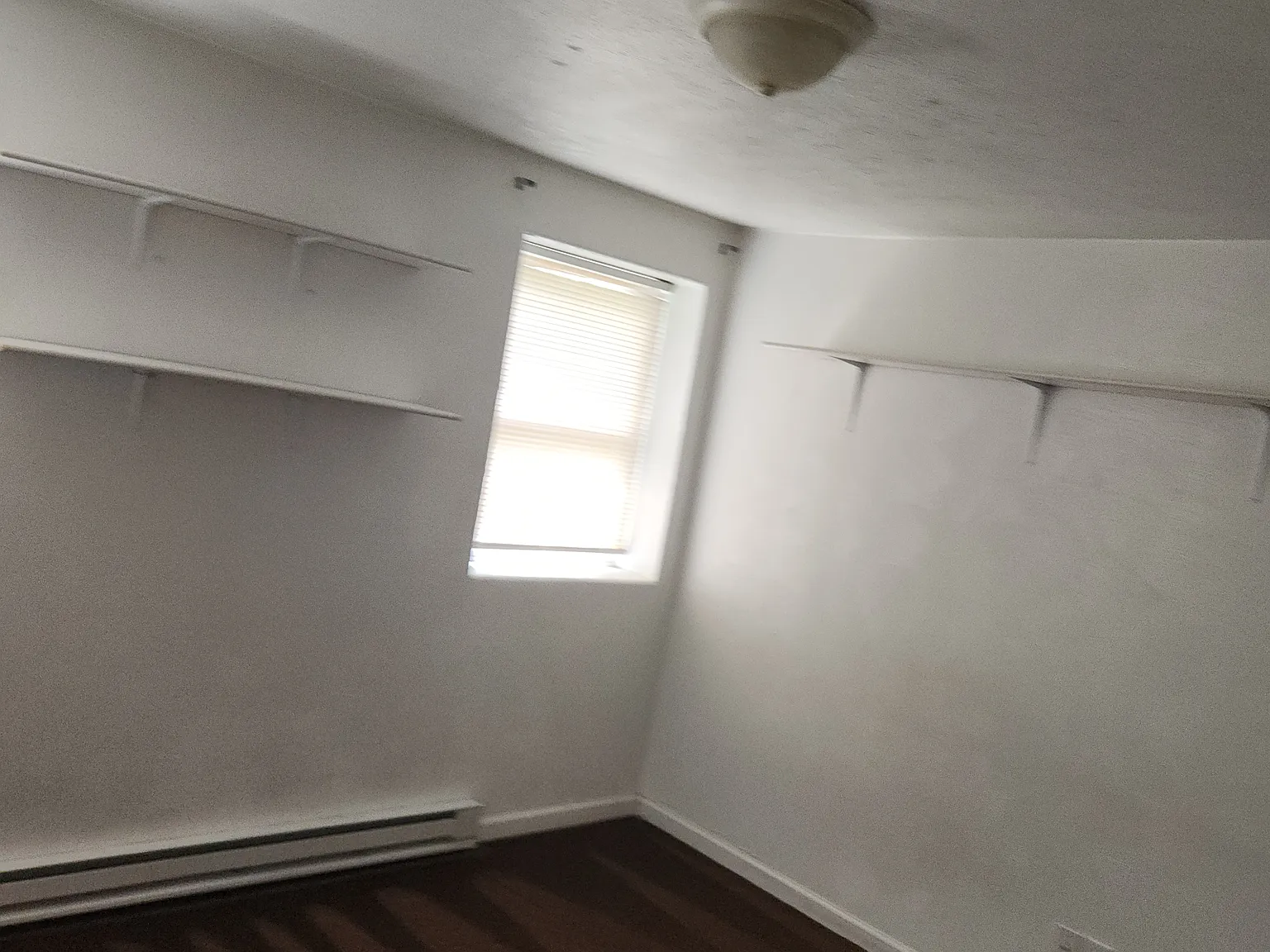 1 bed, $600 — Photo 2
