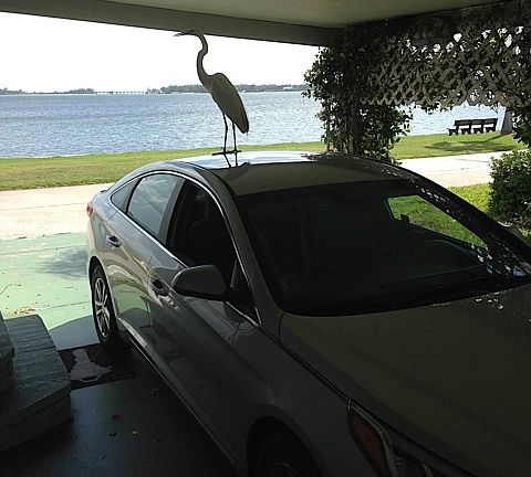 Stop parking in my spot