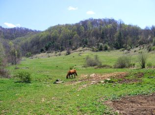 386 Blevins Branch Rd, Bakersville, NC 28705