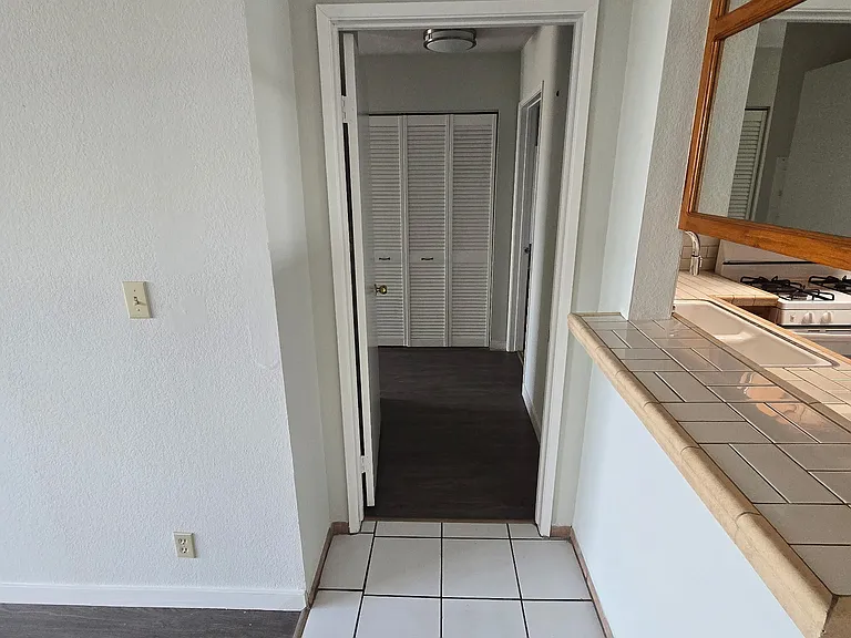 Venice Apartments — Photo 10