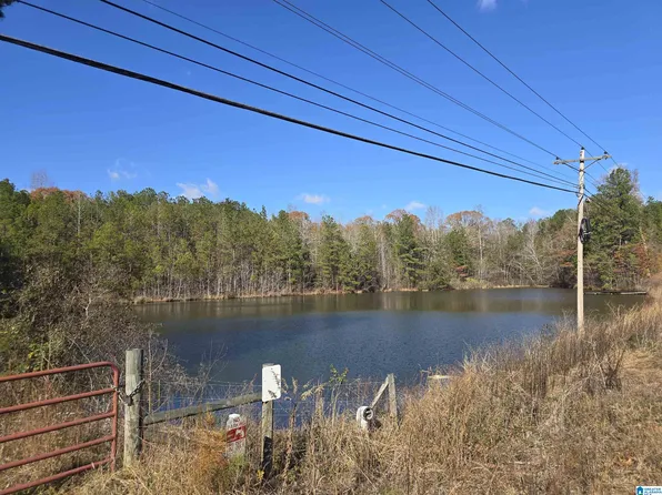 0 Us Highway 231 #1, Rockford, AL 35136