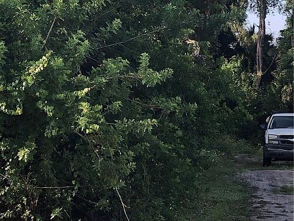 5th image of 3709 Kittyhawk Dr