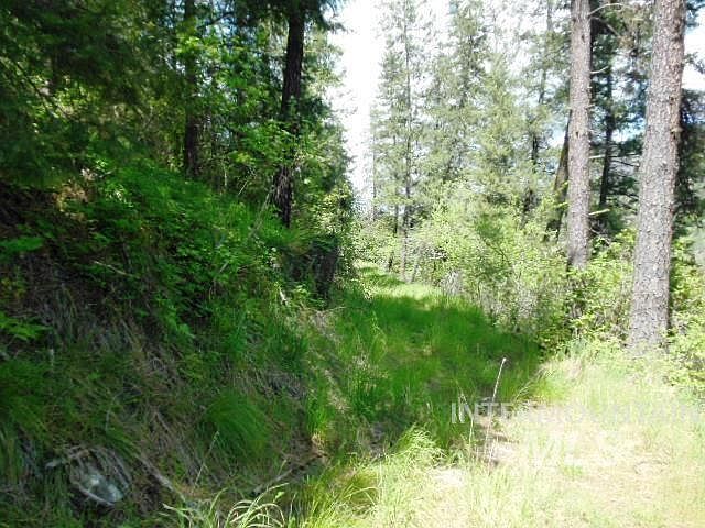 1st image of U South Hwy #12