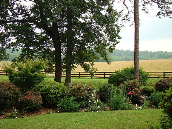 Across the street #1