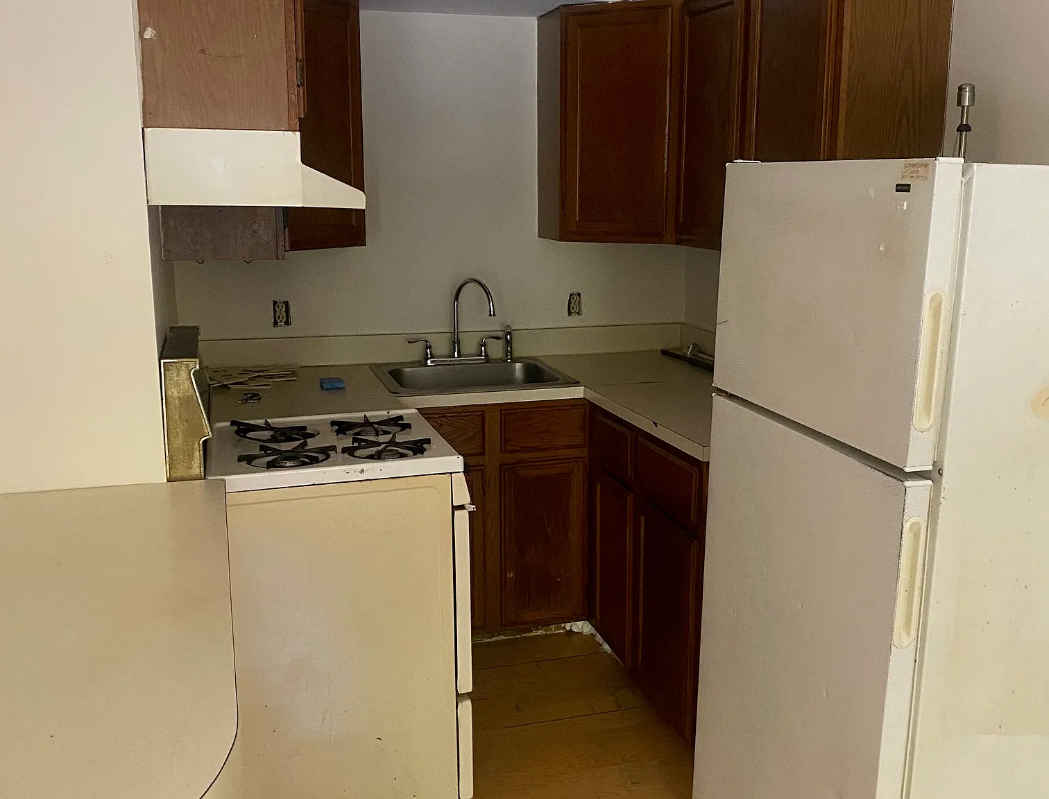 1 bed, 532 sqft, $1,350 — Photo 4