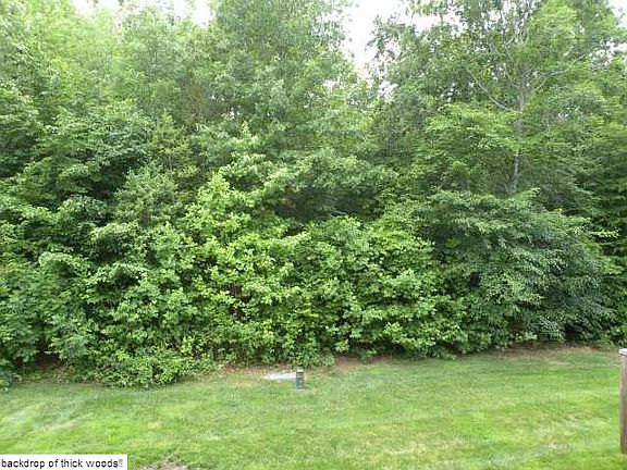 4th image of 11495 Abbots Cross Ln #11495