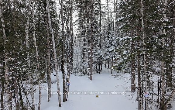 3rd image of 1272 Ursa Rd