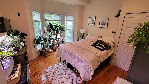 24 Tufts St #2 Photo 1