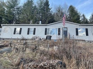 347 Blue Branch Rd, Burnsville, NC 28714