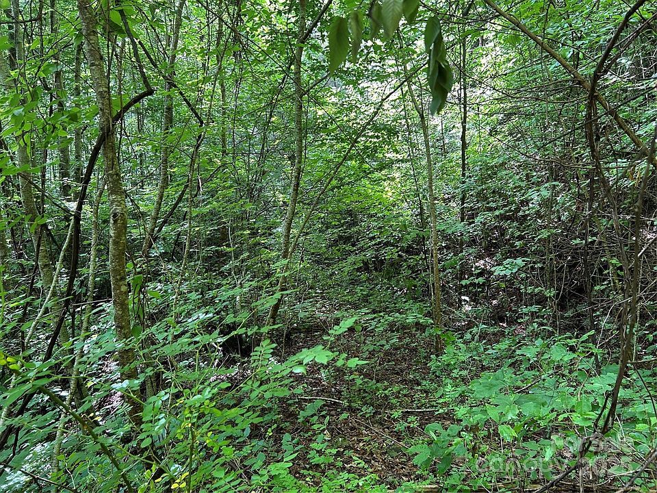 2nd image of 0 Loon Ln Lot 50