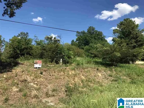 428 Templeton Rd Lot 4, Birmingham, AL 35224