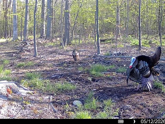 5th image of 0 Jackson Center Polk Rd