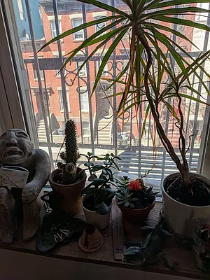 Rented by City Vista Inc | media 3