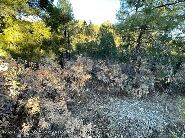 L1 2 #&-45, Timberon, NM 88350