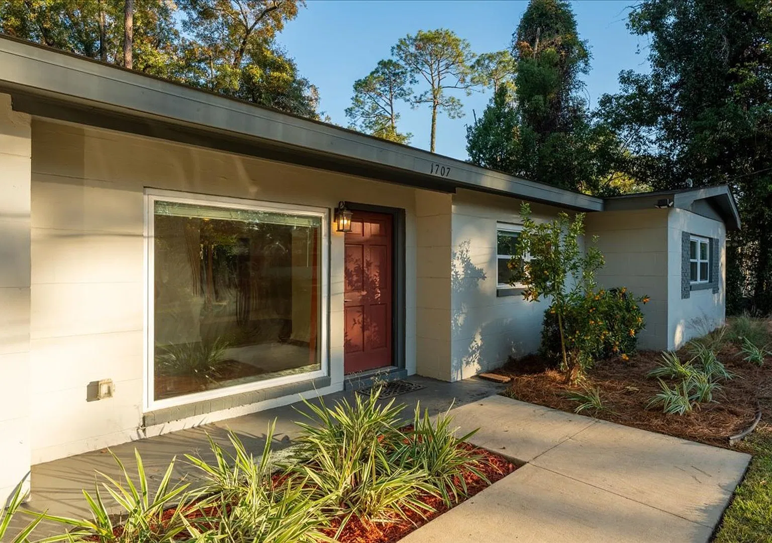 3 Bed / 2 Bath in Levy Park — Photo 3