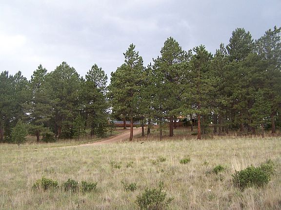 Nestled in the trees on 4+ acres