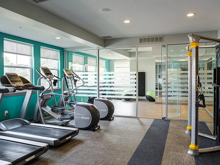 Avia Lowry's fitness center equipped with exercise machines, weights and a television.