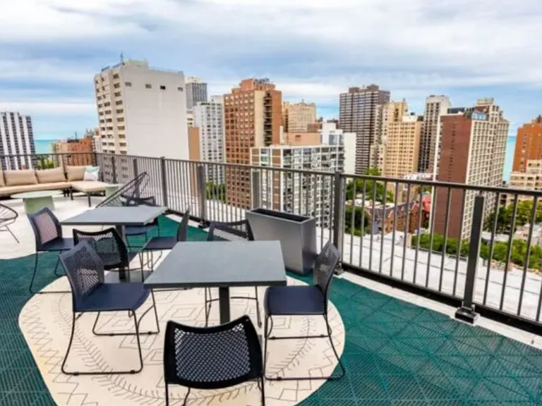 1346 N Dearborn St #11B — Photo 8