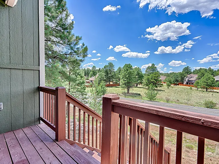 433 W Wulfenite Rd — Photo 12