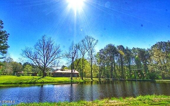 2nd image of 158 County Road 1553