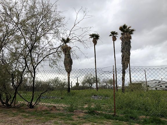 2nd image of 16110 W Placita Galaxia