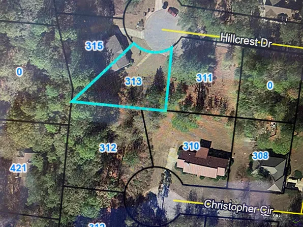 313 Hillcrest Dr, Montezuma, GA 31063