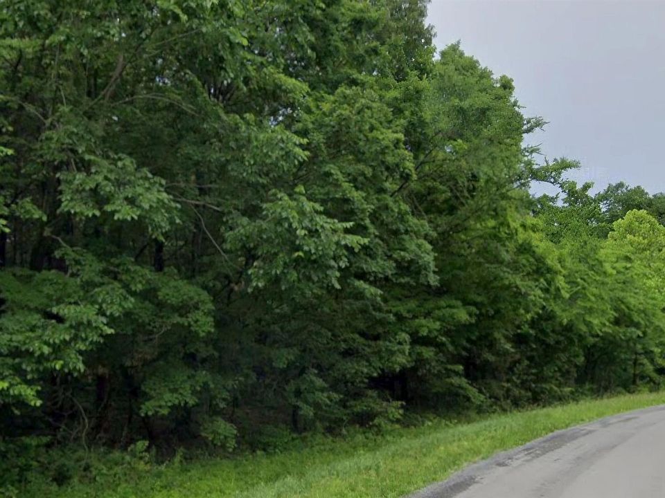 2nd image of 0 Parrish Ridge Ln