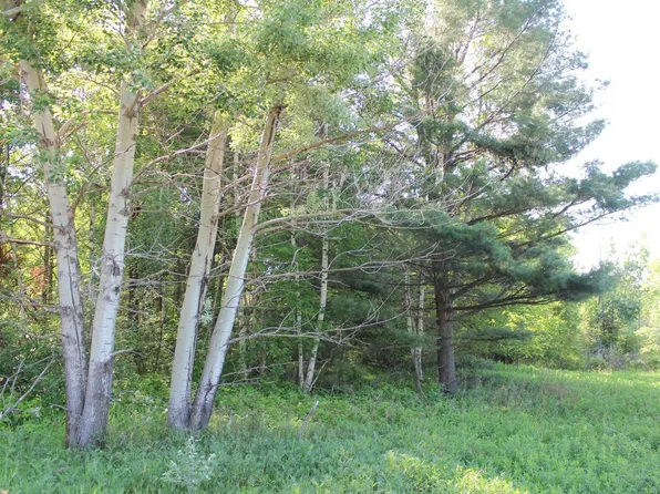 +/-3.07 ACRES STATE HIGHWAY 13, Medford, WI 54451