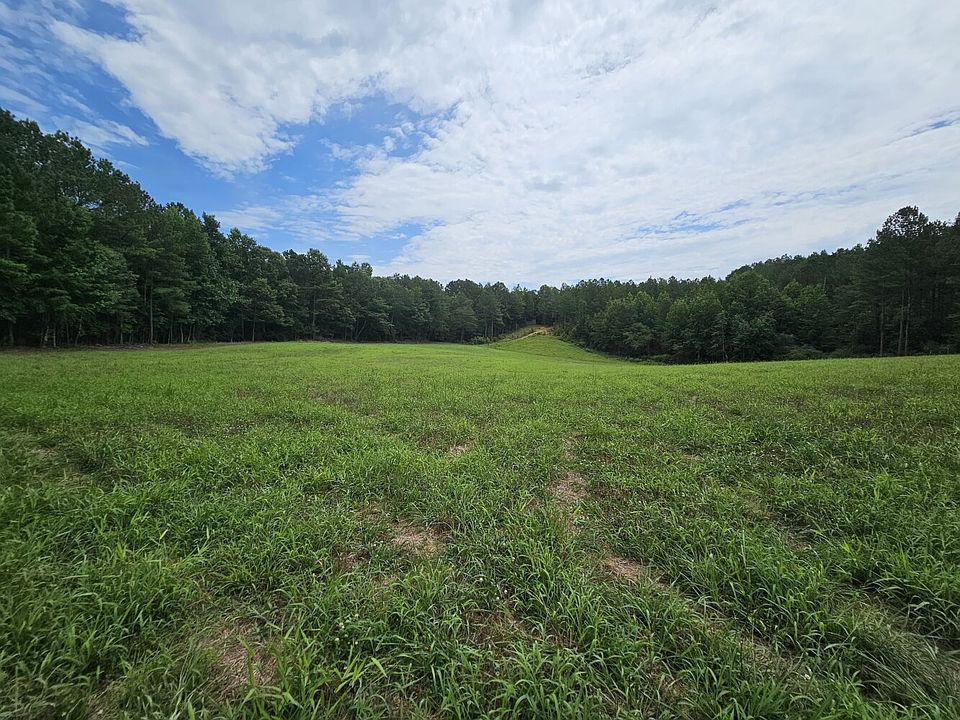 Food plot in northern portion of the property.