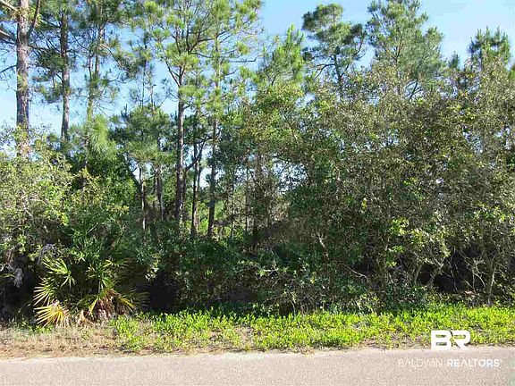 4th image of Palmetto Dr