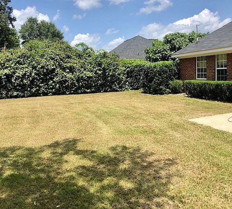2nd image of 1009 Woodberry Dr