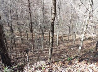 Gaylor Rd, La Follette, TN 37766