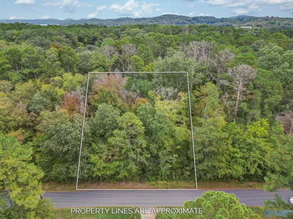 LOT 3 Bayshore Dr, Guntersville, AL 35976