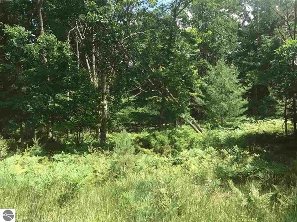 3502 Kennedy Pl, Williamsburg, MI 49690