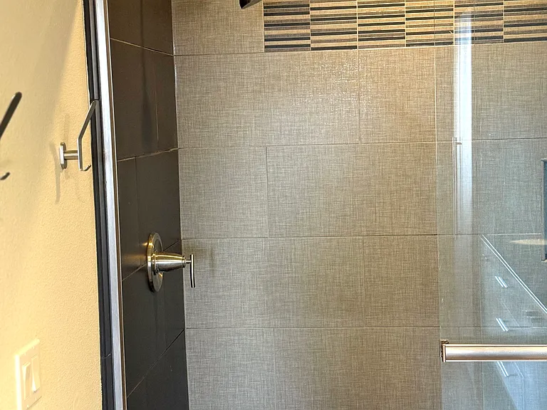 Master Bathroom Shower 1