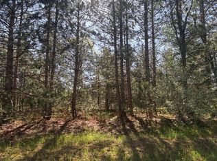 PARCEL N Spruce Ave #A, White Cloud, MI 49349