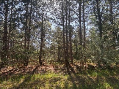 PARCEL N Spruce Ave #A, White Cloud, MI, 49349