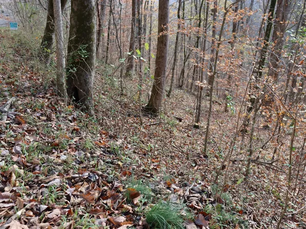 74 Cherokee Dr Lot 74&75, Smithville, TN 37166