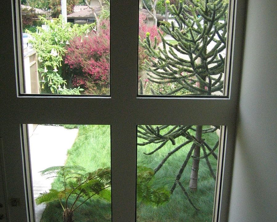 Front Garden view from LR