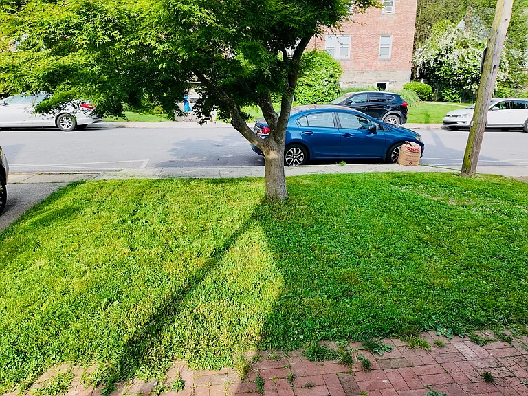 front yard