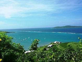 5th image of 43 North Grapetree
