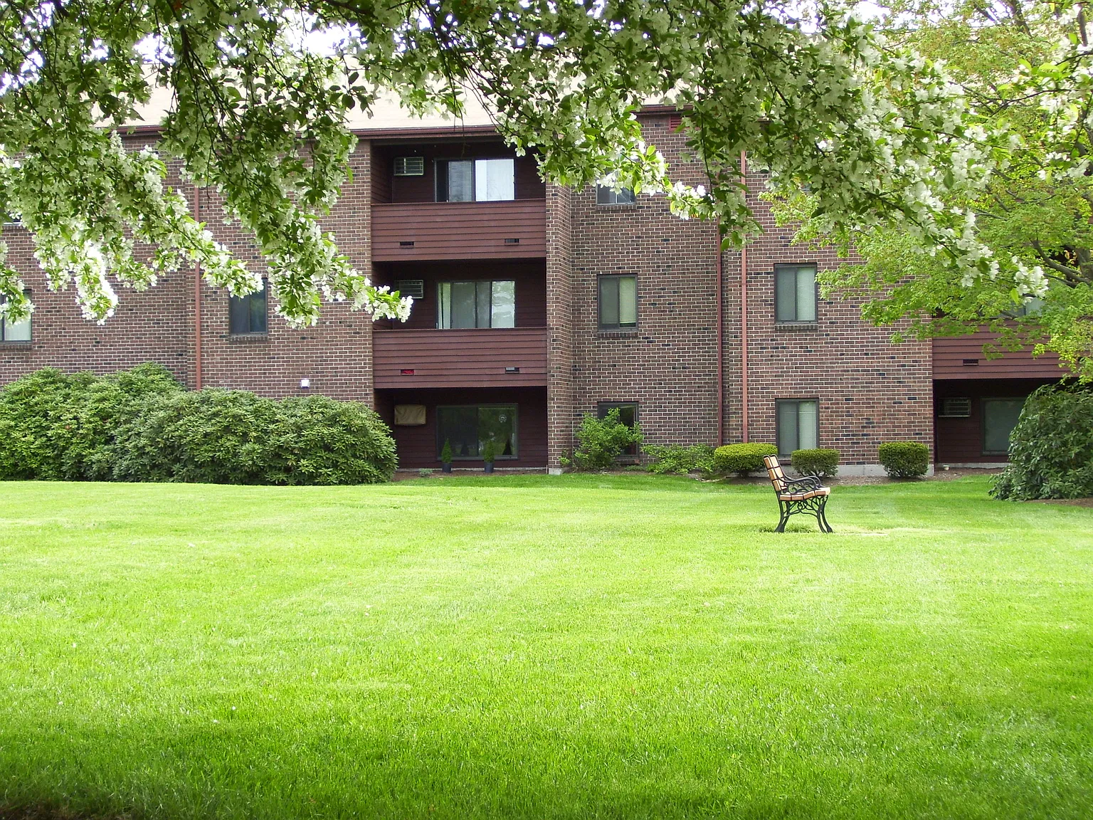 1 bed, 631 sqft, $1,800 — Photo 4