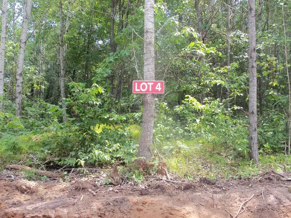 LOT 4 Birch Tree Trl, Spooner, WI 54801