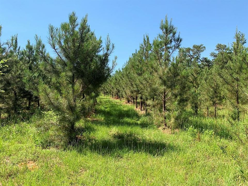 1st image of 0 County Road 391